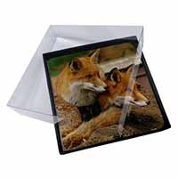 4x Cute Red Fox Cubs Picture Table Coasters Set in Gift Box