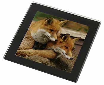 Cute Red Fox Cubs Black Rim High Quality Glass Coaster