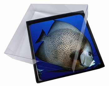 4x Funky Fish Picture Table Coasters Set in Gift Box