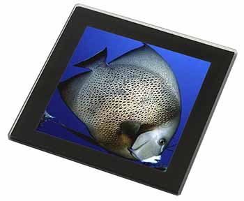Funky Fish Black Rim Glass Coaster Animal Breed Gift