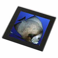 Funky Fish Black Rim Glass Coaster Animal Breed Gift