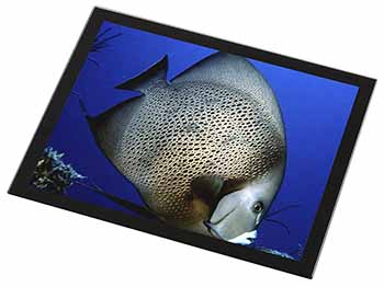 Funky Fish Black Rim Glass Placemat Animal Table Gift