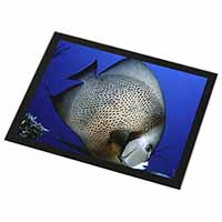 Funky Fish Black Rim Glass Placemat Animal Table Gift