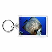 Funky Fish Photo Keyring Animal Gift