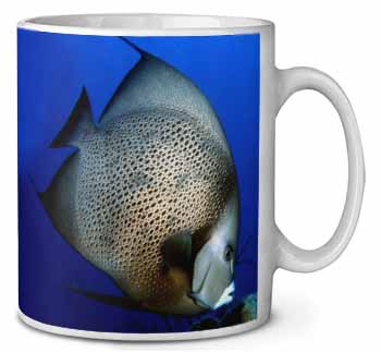 Funky Fish Coffee/Tea Mug Christmas Stocking Filler Gift Idea