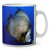 Funky Fish Coffee/Tea Mug Christmas Stocking Filler Gift Idea