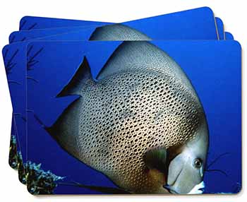 Funky Fish Picture Placemats in Gift Box