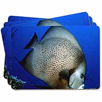 Funky Fish Picture Placemats in Gift Box