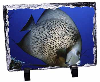 Funky Fish Photo Slate Christmas Gift Ornament