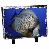 Funky Fish Photo Slate Christmas Gift Ornament