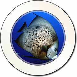 Funky Fish Car/Van Permit Holder/Tax Disc Gift