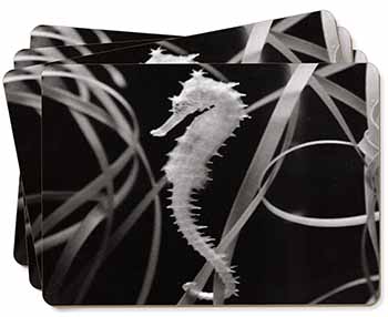Seahorse Picture Placemats in Gift Box