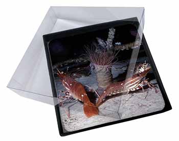 4x Sea Shrimp Picture Table Coasters Set in Gift Box