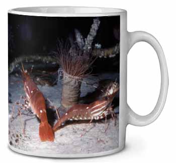 Sea Shrimp Ceramic 10oz Coffee Mug/Tea Cup