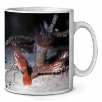 Sea Shrimp Ceramic 10oz Coffee Mug/Tea Cup