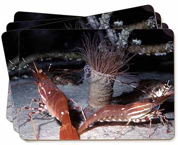 Sea Shrimp Picture Placemats in Gift Box