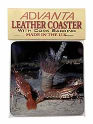 Sea Shrimp Single Leather Photo Coaster
