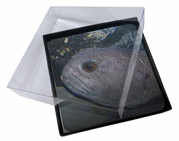 4x Ugly Fish Picture Table Coasters Set in Gift Box