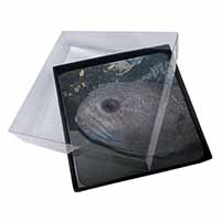 4x Ugly Fish Picture Table Coasters Set in Gift Box