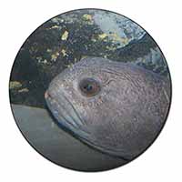 Ugly Fish Fridge Magnet Stocking Filler Christmas Gift