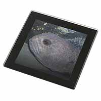 Ugly Fish Black Rim Glass Coaster Animal Breed Gift