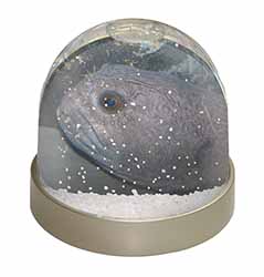 Ugly Fish Photo Snow Globe Waterball Stocking Filler Gift
