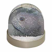 Ugly Fish Photo Snow Globe Waterball Stocking Filler Gift