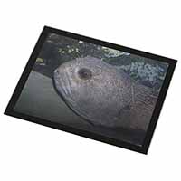 Ugly Fish Black Rim Glass Placemat Animal Table Gift