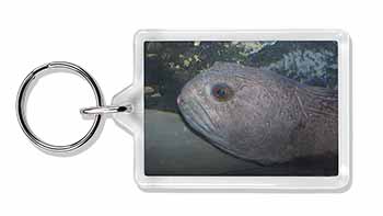 Ugly Fish Photo Keyring Animal Gift