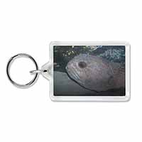 Ugly Fish Photo Keyring Animal Gift