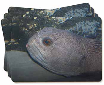 Ugly Fish Picture Placemats in Gift Box