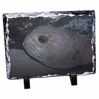 Ugly Fish Photo Slate Christmas Gift Ornament