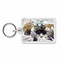 Crab on Sand Photo Keyring Animal Gift