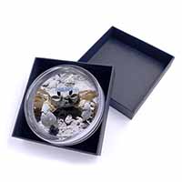 Crab on Sand Glass Paperweight in Gift Box Christmas Present