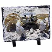 Crab on Sand Photo Slate Christmas Gift Ornament