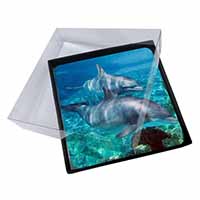 4x Dolphins Picture Table Coasters Set in Gift Box