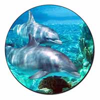 Dolphins Fridge Magnet Printed Full Colour