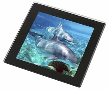 Dolphins Black Rim High Quality Glass Coaster