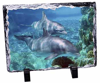 Dolphins, Stunning Photo Slate