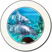 Dolphins Car or Van Permit Holder/Tax Disc Holder