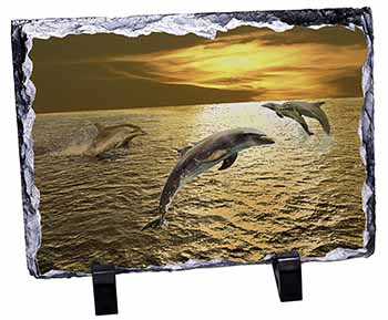 Gold Sea Sunset Dolphins, Stunning Photo Slate