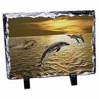 Gold Sea Sunset Dolphins, Stunning Photo Slate