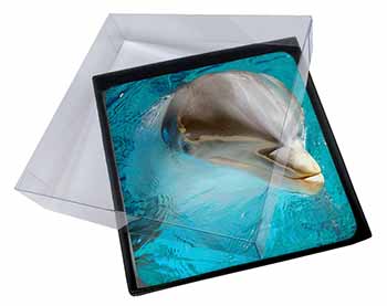 4x Dolphin Close-Up Picture Table Coasters Set in Gift Box