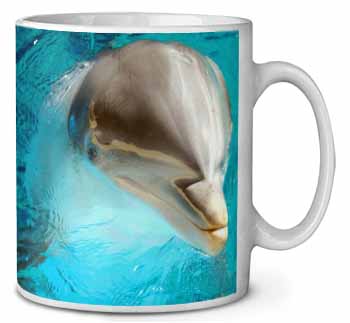 Dolphin Close-Up Ceramic 10oz Coffee Mug/Tea Cup