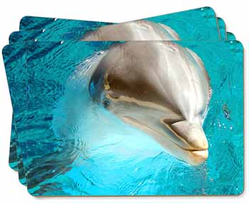 Dolphin Close-Up Picture Placemats in Gift Box