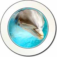 Dolphin Close-Up Car or Van Permit Holder/Tax Disc Holder