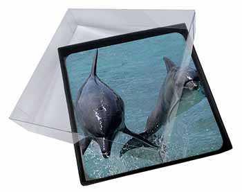 4x Jumping Dolphins Picture Table Coasters Set in Gift Box