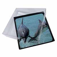 4x Jumping Dolphins Picture Table Coasters Set in Gift Box