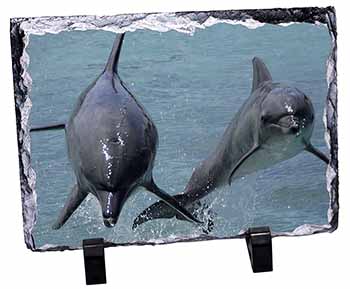 Jumping Dolphins, Stunning Photo Slate