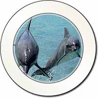 Jumping Dolphins Car or Van Permit Holder/Tax Disc Holder